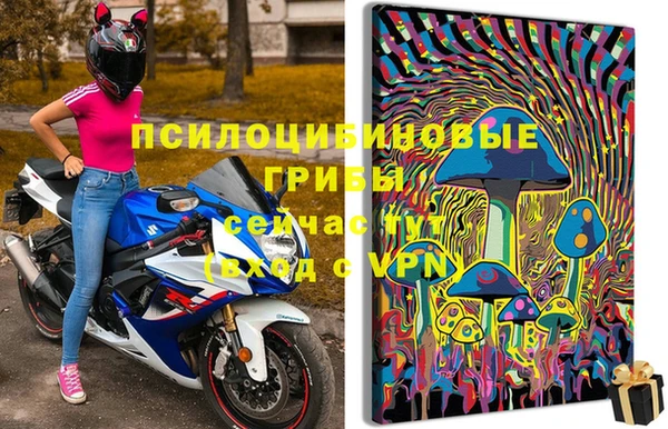 трава Дмитриев