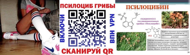 Псилоцибиновые грибы GOLDEN TEACHER Лениногорск