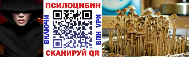 Купить закладки  Лениногорск  Псилоцибиновые грибы мухоморы 